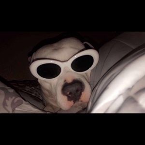 Meet your Posher, Trey